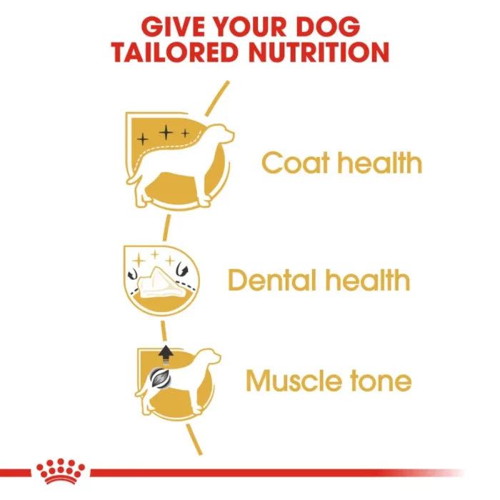 royal-canin-poodle-adult-life royal-canin-poodle-adult-life