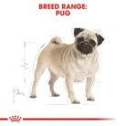 royal-canin-pug-adult