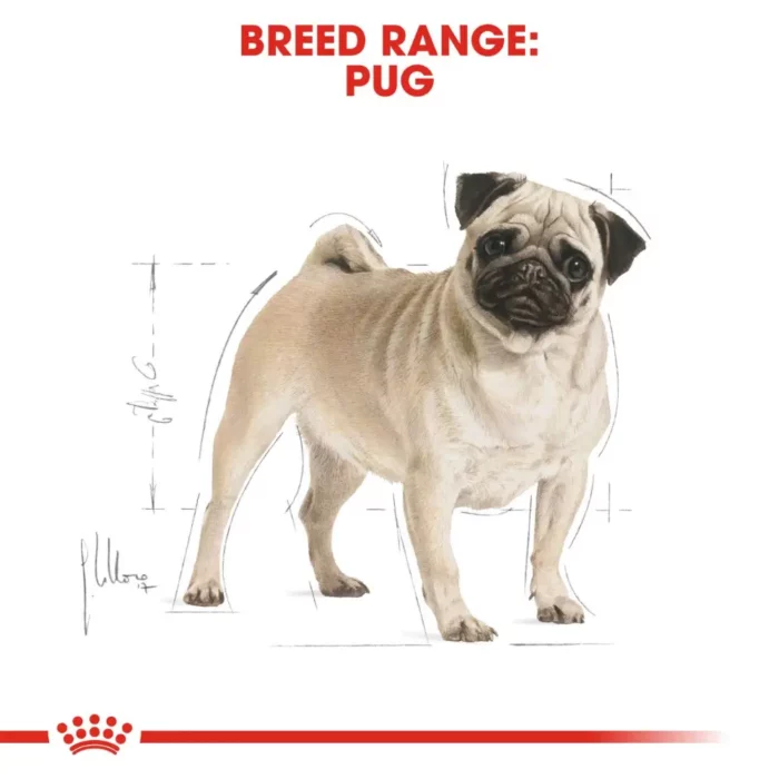 royal-canin-pug-adult royal-canin-pug-adult