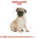 royal-canin-puppy-pug-breed