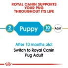 royal-canin-puppy-pug-feeding-migration-chart
