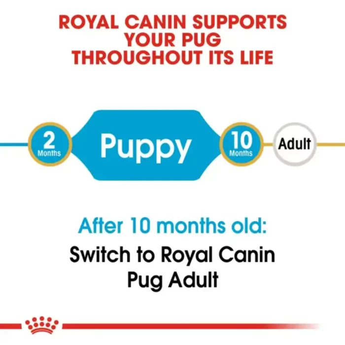 royal-canin-puppy-pug-feeding-migration-chart royal-canin-puppy-pug-feeding-migration-chart