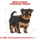 royal-canin-puppy-yorkshire-terrier