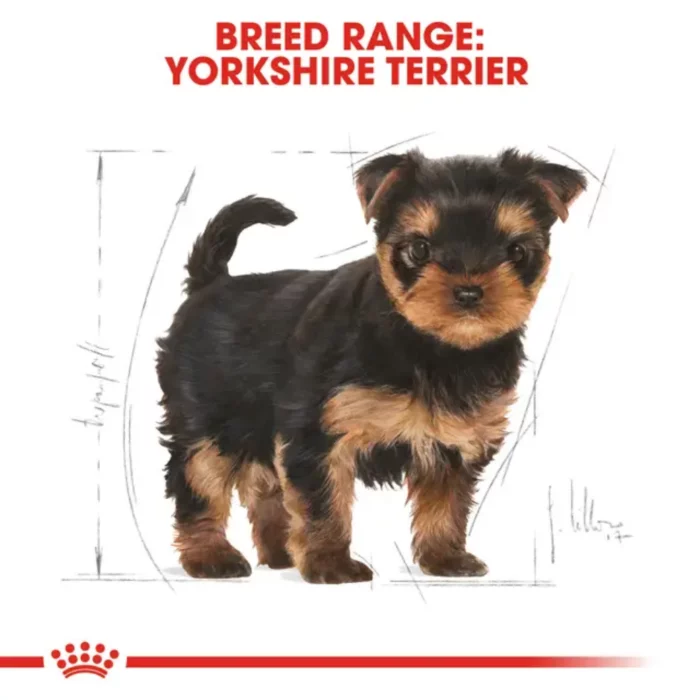 royal-canin-puppy-yorkshire-terrier royal-canin-puppy-yorkshire-terrier