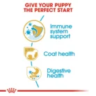 royal-canin-puppy-yorkshire-terrier-nutrition