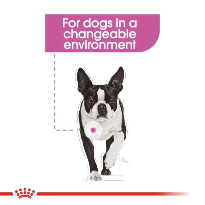 royal-canin-relax-care-boston-terrier royal-canin-relax-care-boston-terrier
