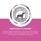 royal-canin-relax-care-formula-adaption-to-changes