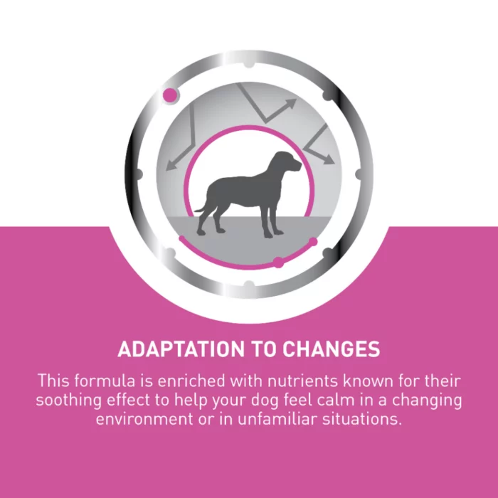 royal-canin-relax-care-formula-adaption-to-changes royal-canin-relax-care-formula-adaption-to-changes
