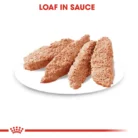 royal-canin-relax-care-plated-loaf