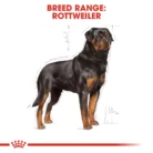 royal-canin-rottweiler-adult