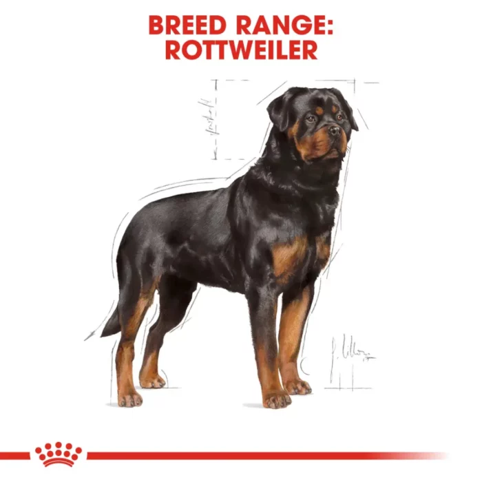 royal-canin-rottweiler-adult royal-canin-rottweiler-adult