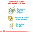 royal-canin-rottweiler-puppy-nutrition