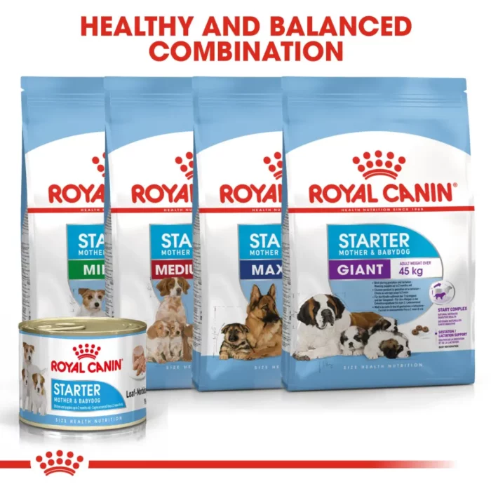 royal-canin-starter-mousse-mother-babydog-balanced-formula royal-canin-starter-mousse-mother-babydog-balanced-formula