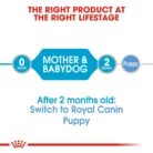 royal-canin-starter-mousse-mother-babydog-lifestage