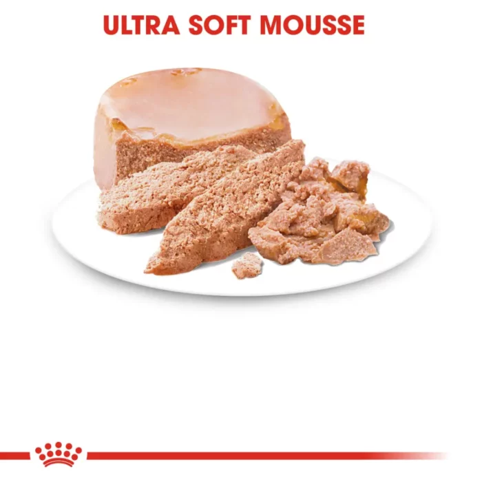 royal-canin-starter-mousse-mother-babydog-plated-meat-loaf royal-canin-starter-mousse-mother-babydog-plated-meat-loaf