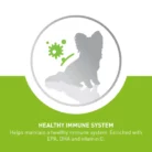 royal-canin-x-small-adult-healty-immune-system