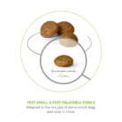 royal-canin-x-small-adult-kibble
