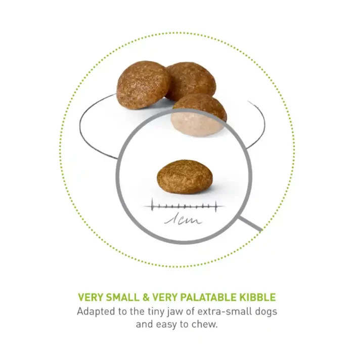 royal-canin-x-small-adult-kibble royal-canin-x-small-adult-kibble