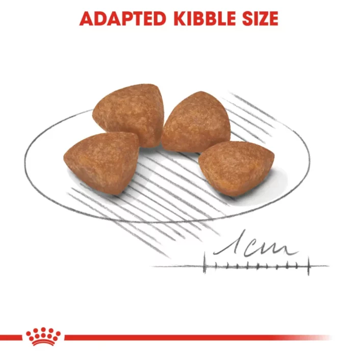 royal-canin-x-small-puppy-kibble royal-canin-x-small-puppy-kibble