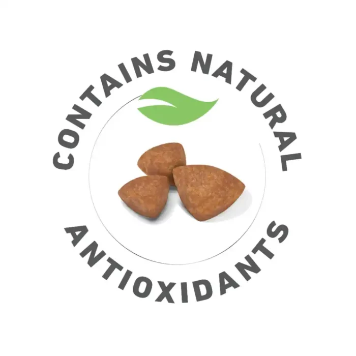 royal-canin-x-small-puppy-natural-antioxidantst royal-canin-x-small-puppy-natural-antioxidantst