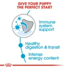 royal-canin-x-small-puppy-nutrition