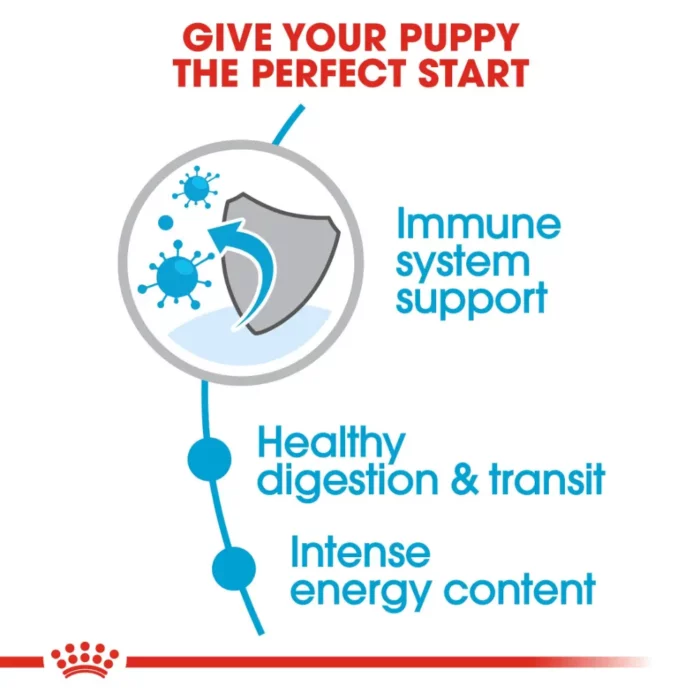 royal-canin-x-small-puppy-nutrition royal-canin-x-small-puppy-nutrition