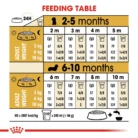 royal-canin-dachshund-puppy-feeding-table