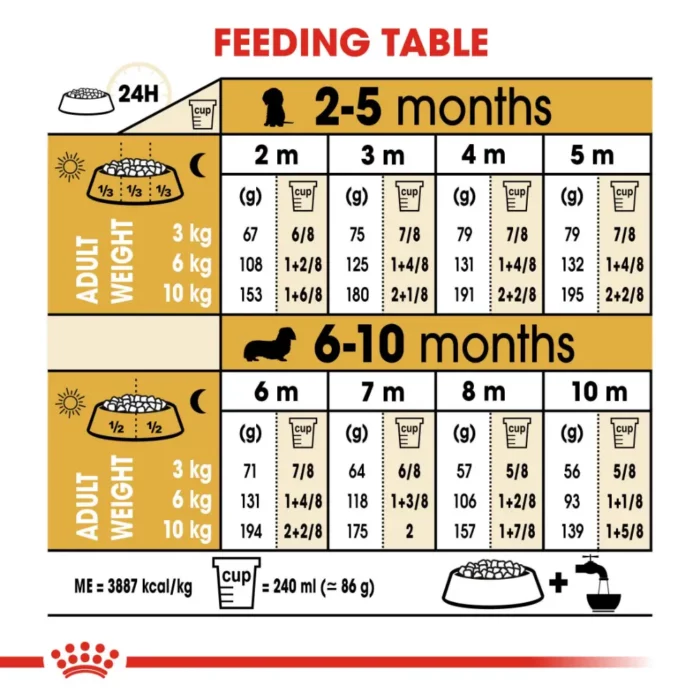royal-canin-dachshund-puppy-feeding-table royal-canin-dachshund-puppy-feeding-table