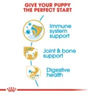 royal-canin-dachshund-puppy-nutrition