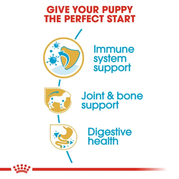 royal-canin-dachshund-puppy-nutrition royal-canin-dachshund-puppy-nutrition