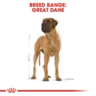 royal-canin-great-dane-adult