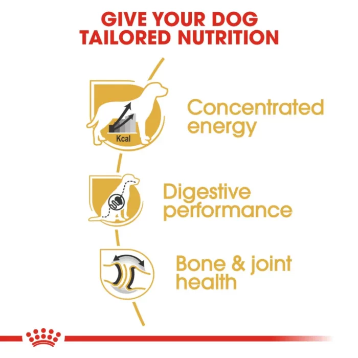 royal-canin-great-dane-adult-nutrition royal-canin-great-dane-adult-nutrition