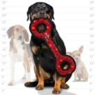 Tuffy Ultimate Tug-O-War Dog Tug Toy – Heavy-Duty Interactive Play