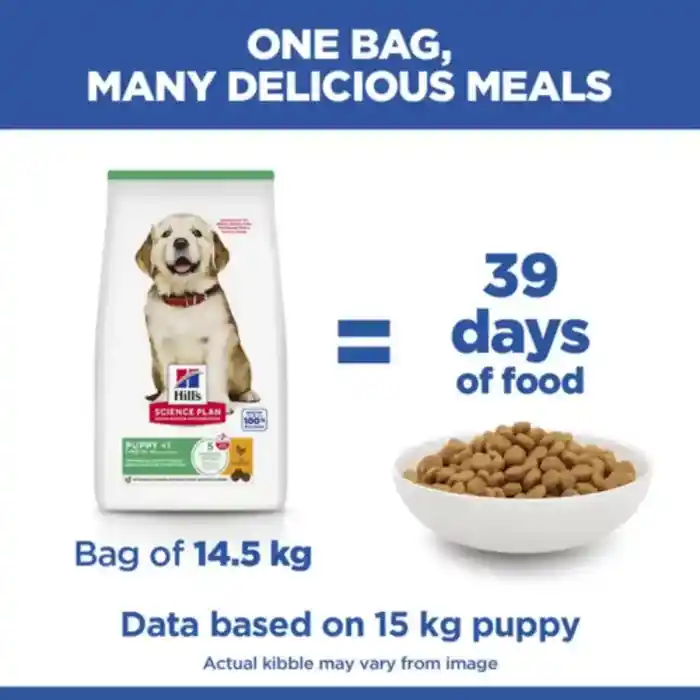 hills-dog-science-plan-39-days-of-food hills-dog-science-plan-39-days-of-food