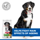 hills-dog-science-plan-effects-of-ageing