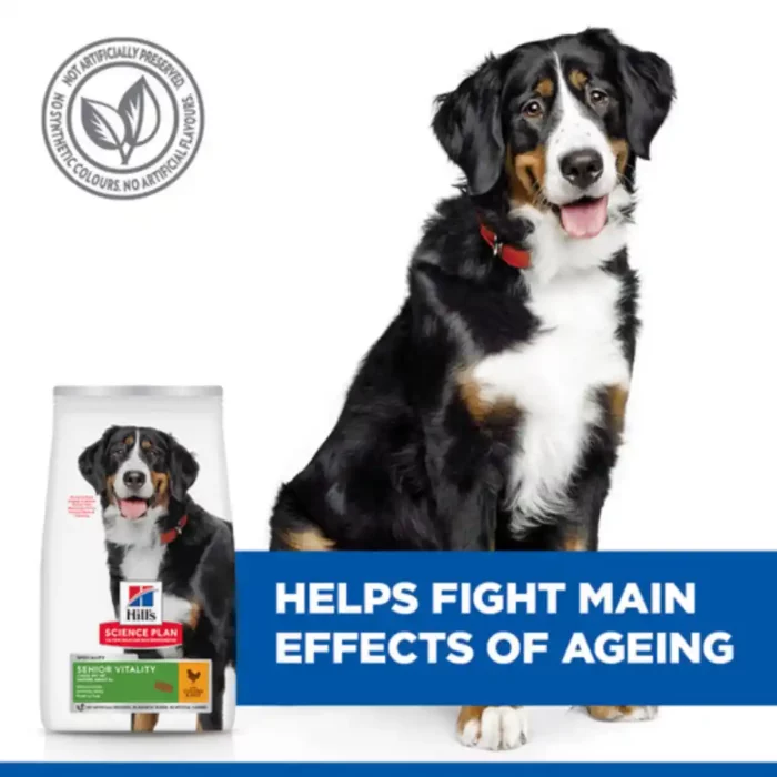 hills-dog-science-plan-effects-of-ageing hills-dog-science-plan-effects-of-ageing