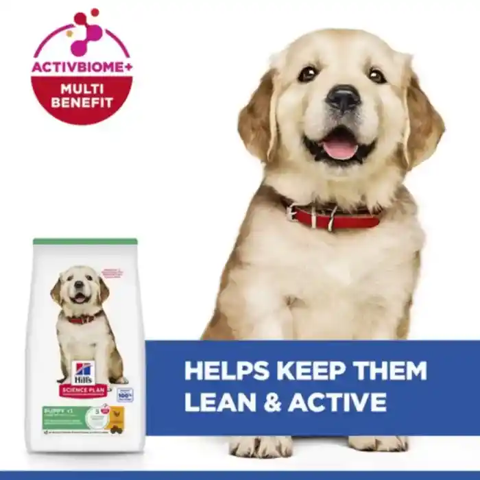 hills-dog-science-plan-keep-dog-lean-and-active hills-dog-science-plan-keep-dog-lean-and-active