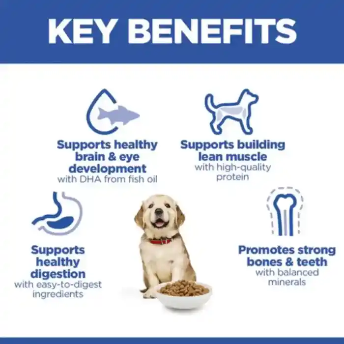 hills-dog-science-plan-key-benefits hills-dog-science-plan-key-benefits