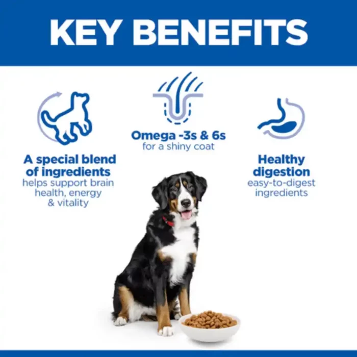hills-dog-science-plan-key-benefits hills-dog-science-plan-key-benefits