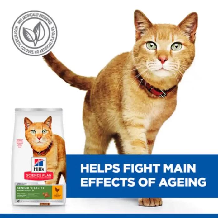 hills-science-plan-feline-senior-vitality-chicken-dry-cat-food-fight-effect-of-ageing hills-science-plan-feline-senior-vitality-chicken-dry-cat-food-fight-effect-of-ageing