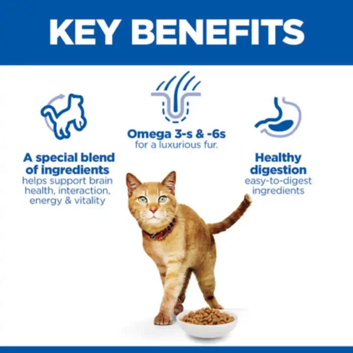 hills-science-plan-feline-senior-vitality-chicken-dry-cat-food-key-benefits hills-science-plan-feline-senior-vitality-chicken-dry-cat-food-key-benefits
