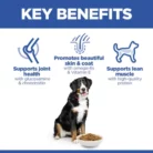 hills-science-plan-large-breed-adult-dry-dog-food-key-benefits
