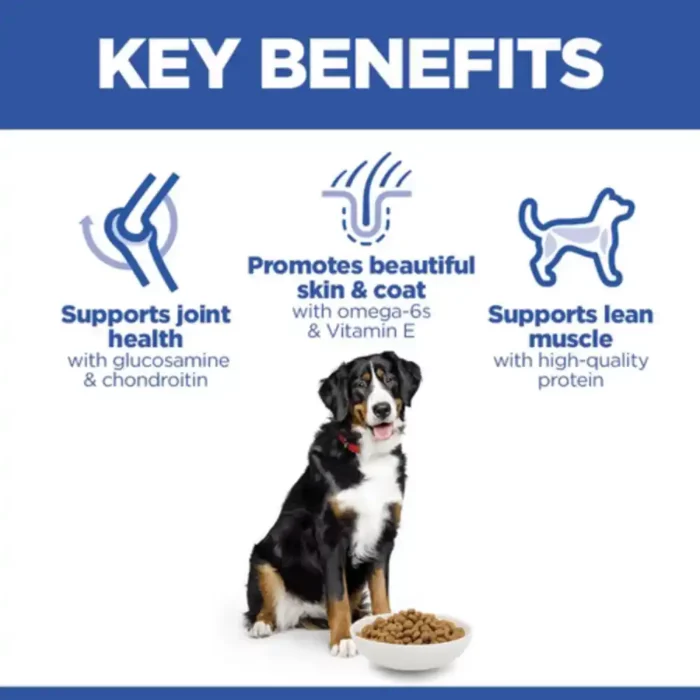 hills-science-plan-large-breed-adult-dry-dog-food-key-benefits hills-science-plan-large-breed-adult-dry-dog-food-key-benefits