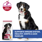 hills-science-plan-large-breed-adult-dry-dog-food-support-immune-system