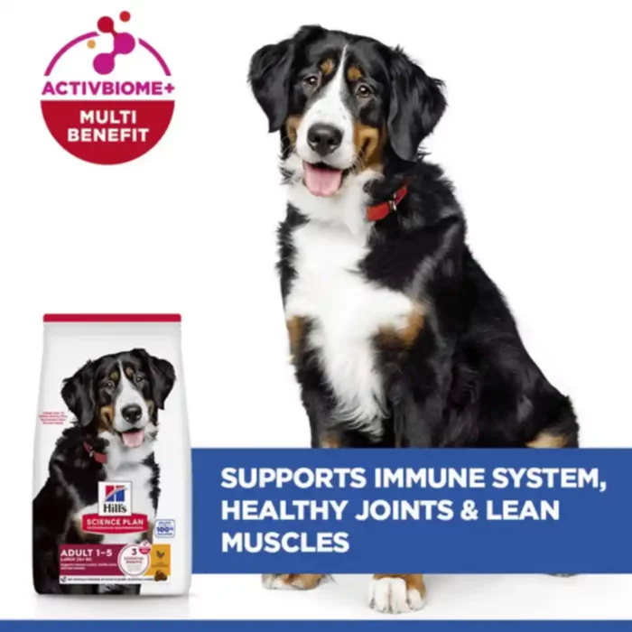hills-science-plan-large-breed-adult-dry-dog-food-support-immune-system hills-science-plan-large-breed-adult-dry-dog-food-support-immune-system