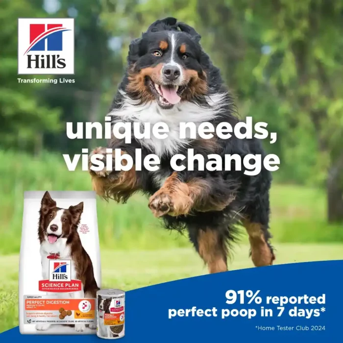 hills-science-plan-medium-adult-perfect-digestion-dog-food-unique-needs hills-science-plan-medium-adult-perfect-digestion-dog-food-unique-needs