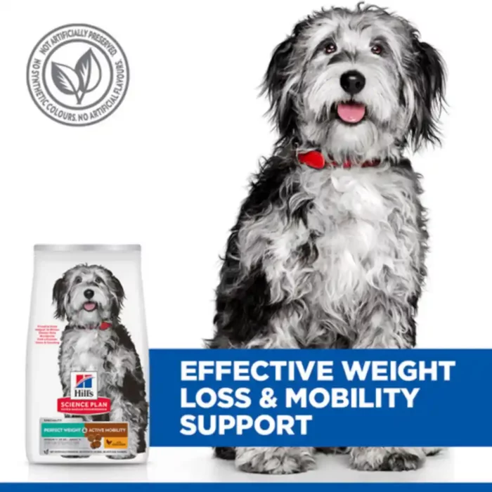 hills-science-plan-perfect-weight-active-mobility-medium-dog-food-benefits hills-science-plan-perfect-weight-active-mobility-medium-dog-food-benefits