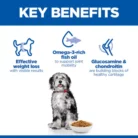 hills-science-plan-perfect-weight-active-mobility-medium-dog-food-key-benefits