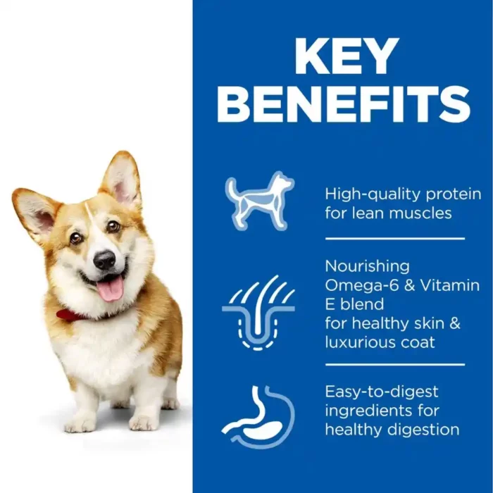 hills-science-plan-small-mini-adult-dry-dog-food-key-benefits hills-science-plan-small-mini-adult-dry-dog-food-key-benefits