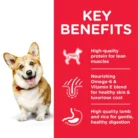 hills-science-plan-small-mini-adult-dry-dog-food-lamb-key-benefits